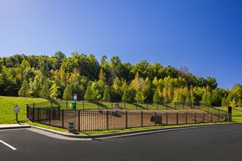 Pet Park at 198 Milltown Apartments, Burlington, NC 27215
